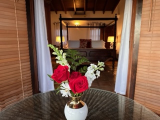 Villa photos
